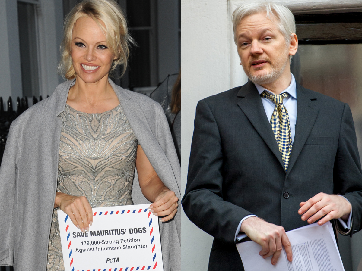 Pamela Anderson Julian Assange
