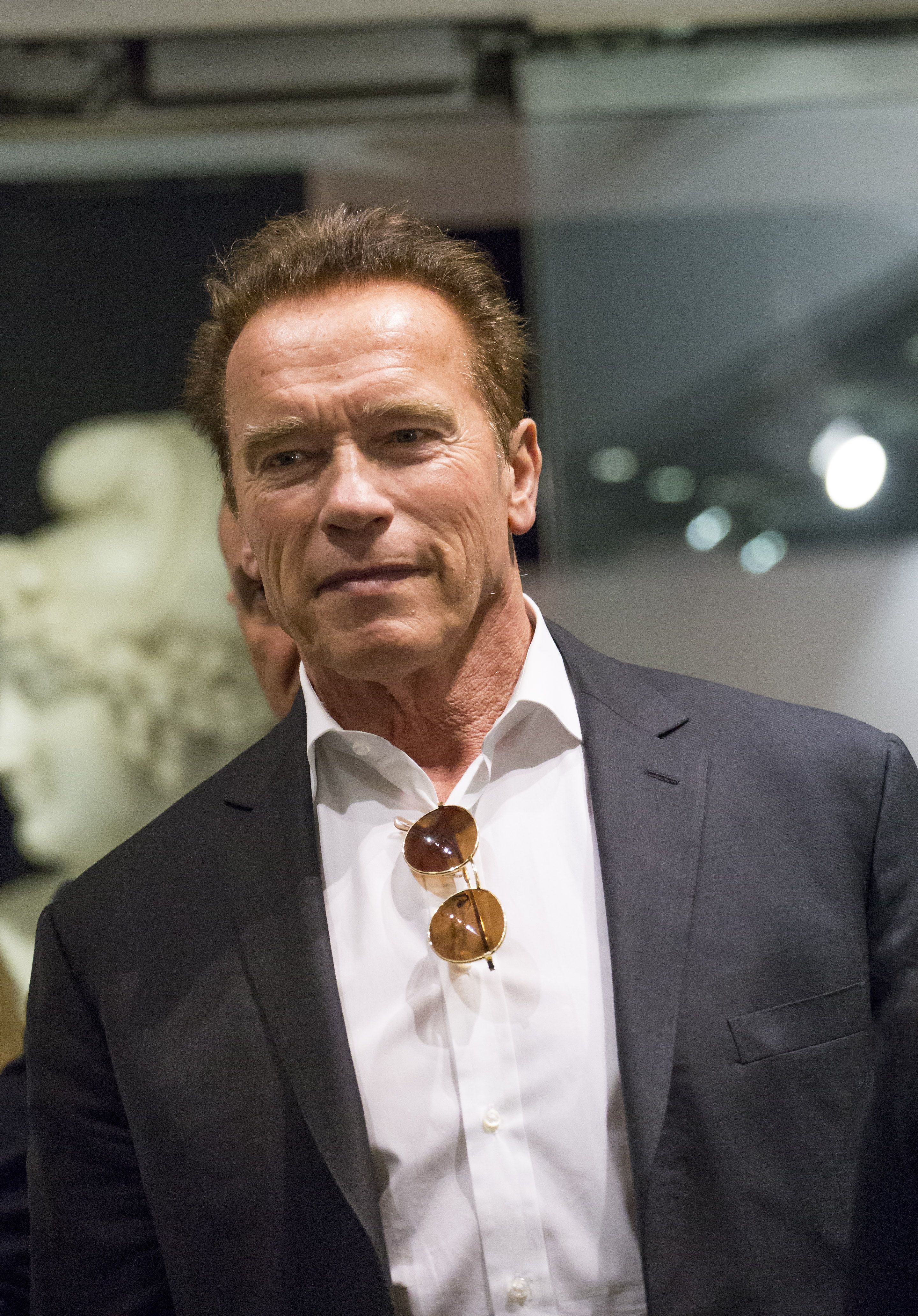 arnold schwarzenegger
